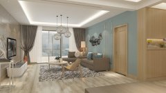 操纵曲线和非对称线条